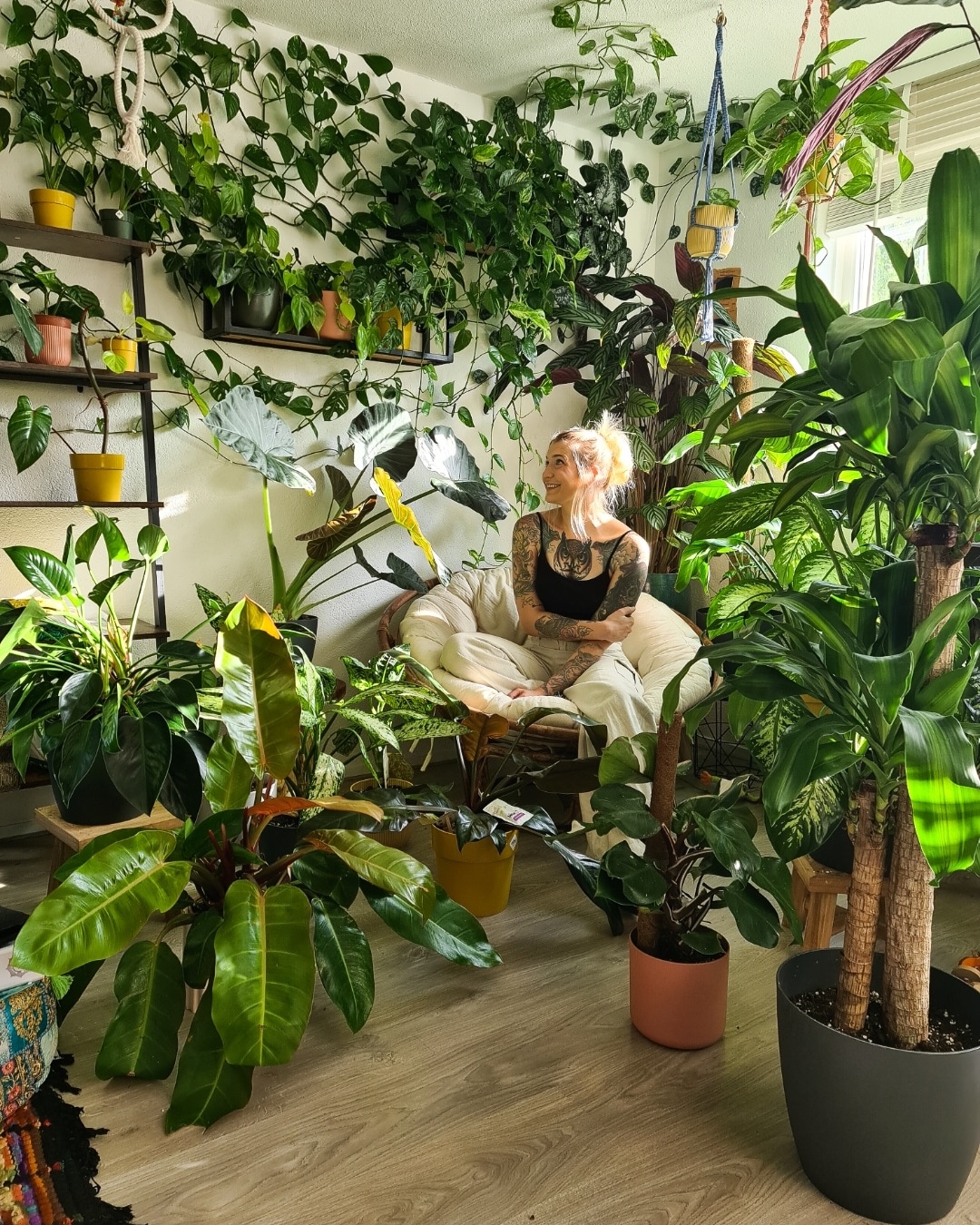 My Jungle At Home Foto